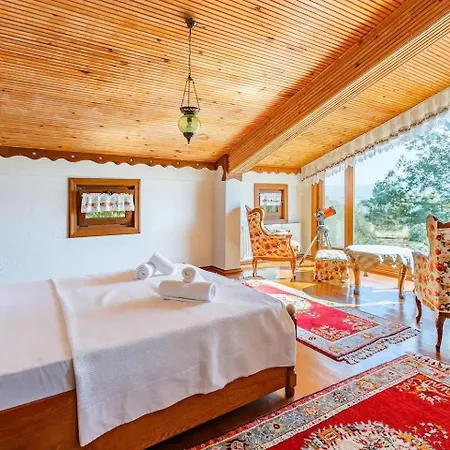 Sapanca Breathtaking Private Retreat Willa